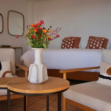 Villa Grande Familiale Vue Avec Piscine - Domaine Prive A St Cyr Sur