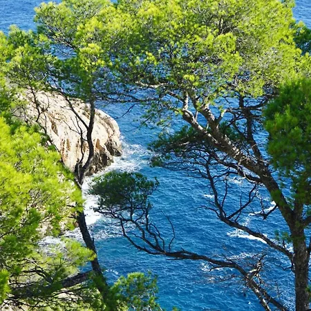 Villa Grande Familiale Vue Avec Piscine - Domaine Prive A St Cyr Sur *